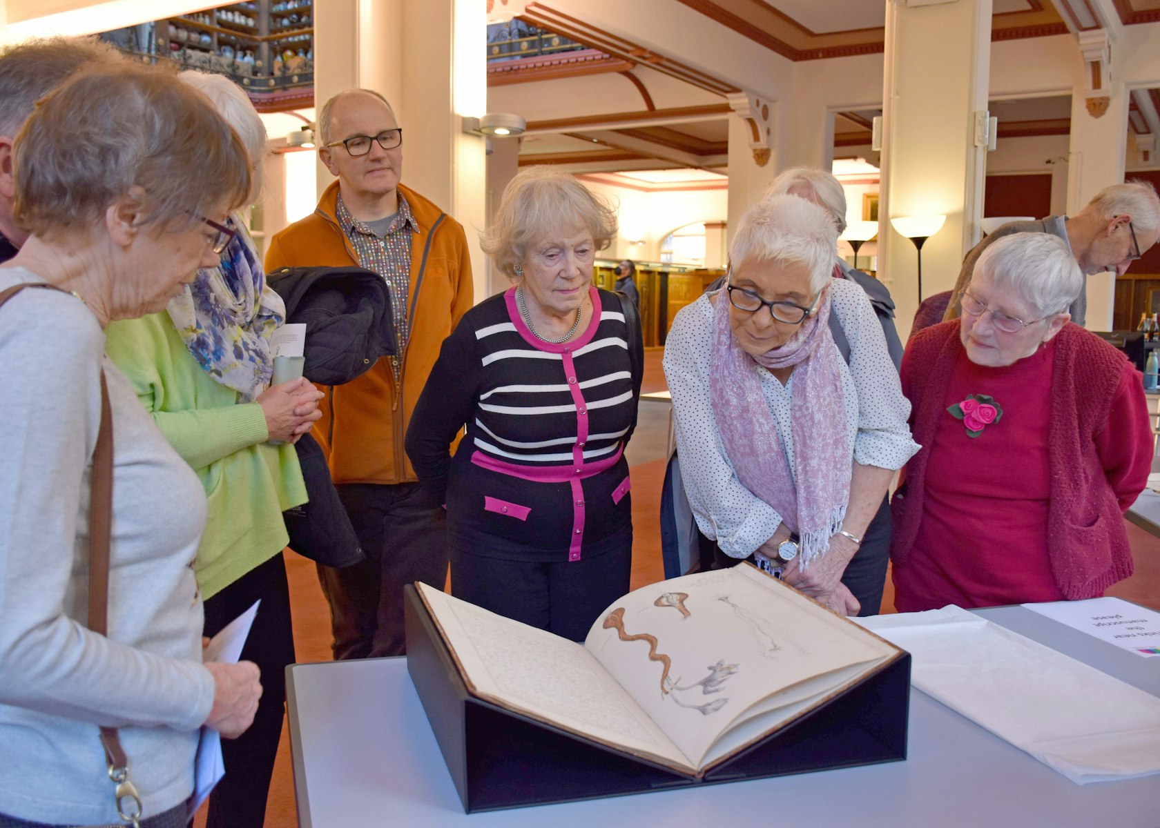 Friends with Hardcastle Manuscript