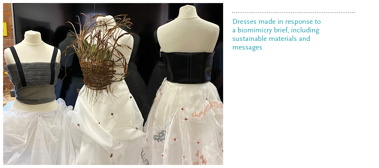 Dresses made in response to a biomimicry brief, including sustainable materials and messages