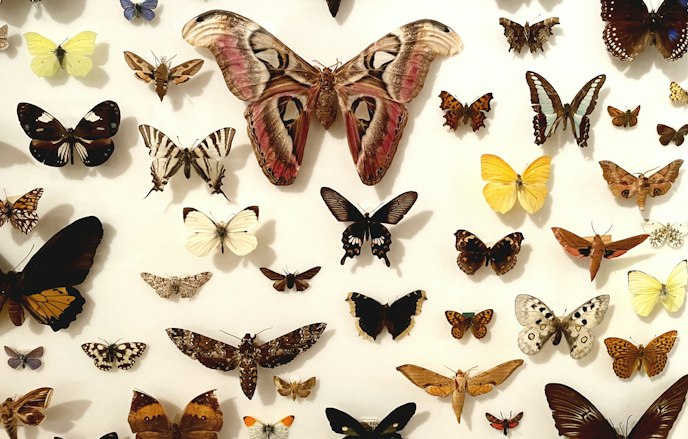 Remarkable Rocks and Fantastic Fossils - Derby Museums | Derby Museums