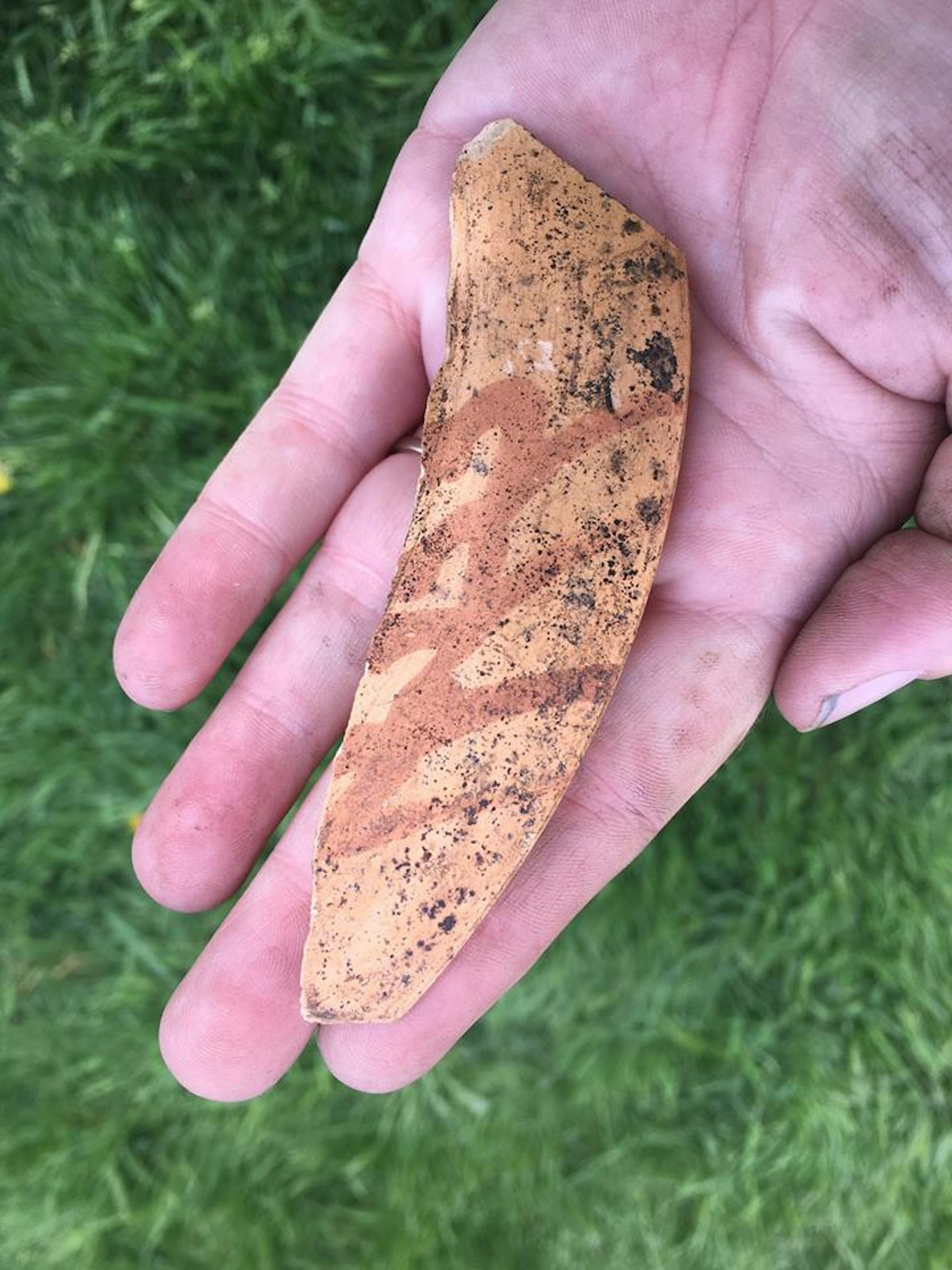 YAC hand with Roman pot