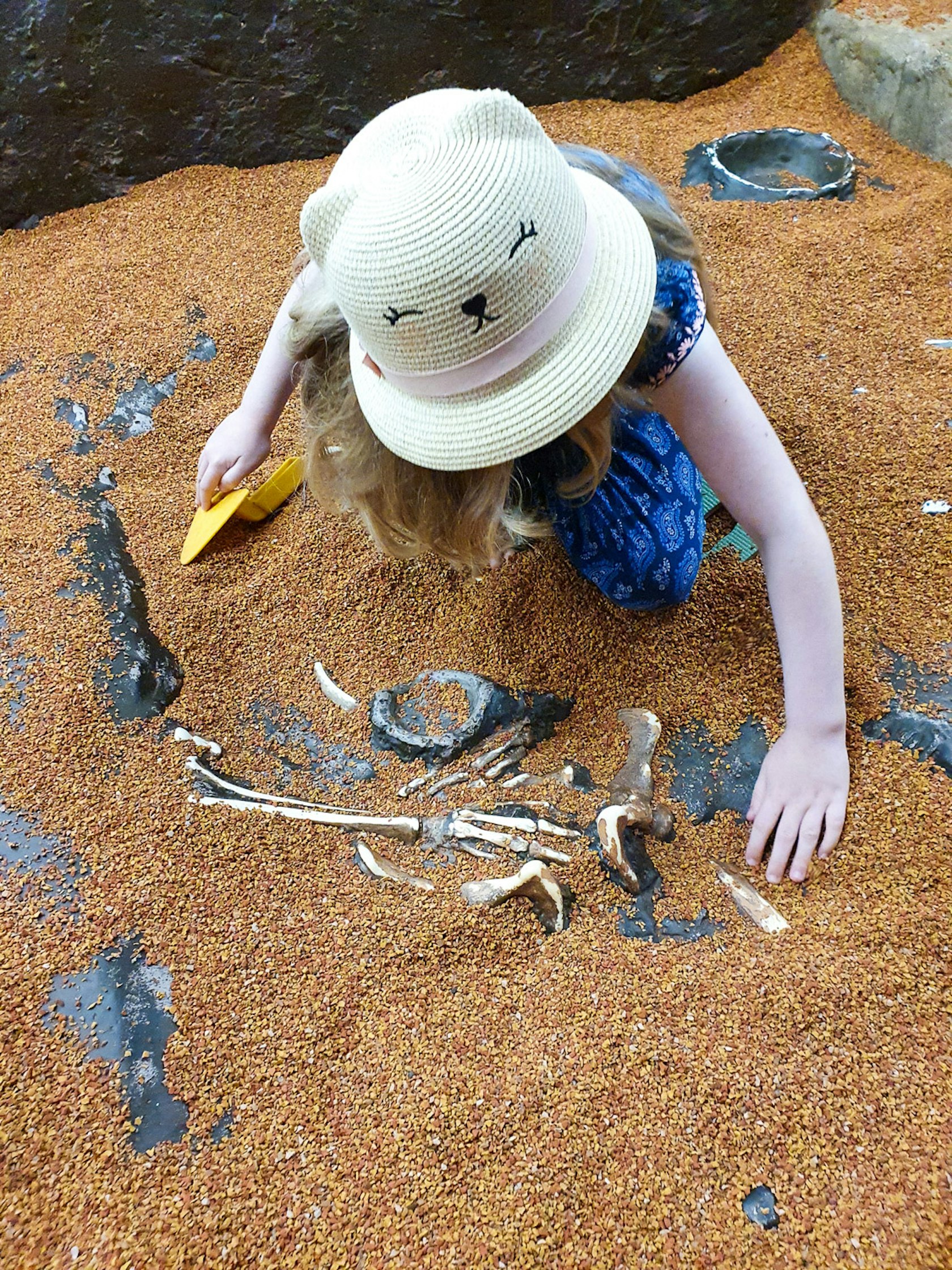 york-jorvik-dig-girl-bones