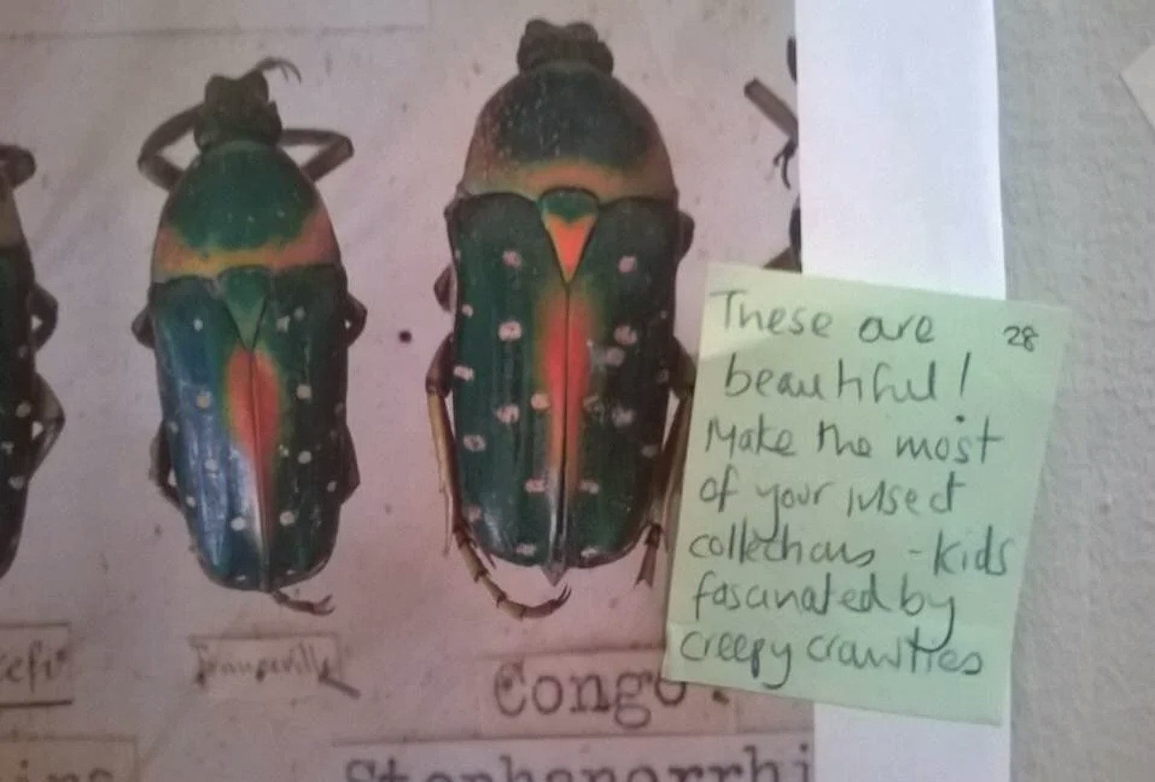 Human-centred design and Co-production at Derby Museums image