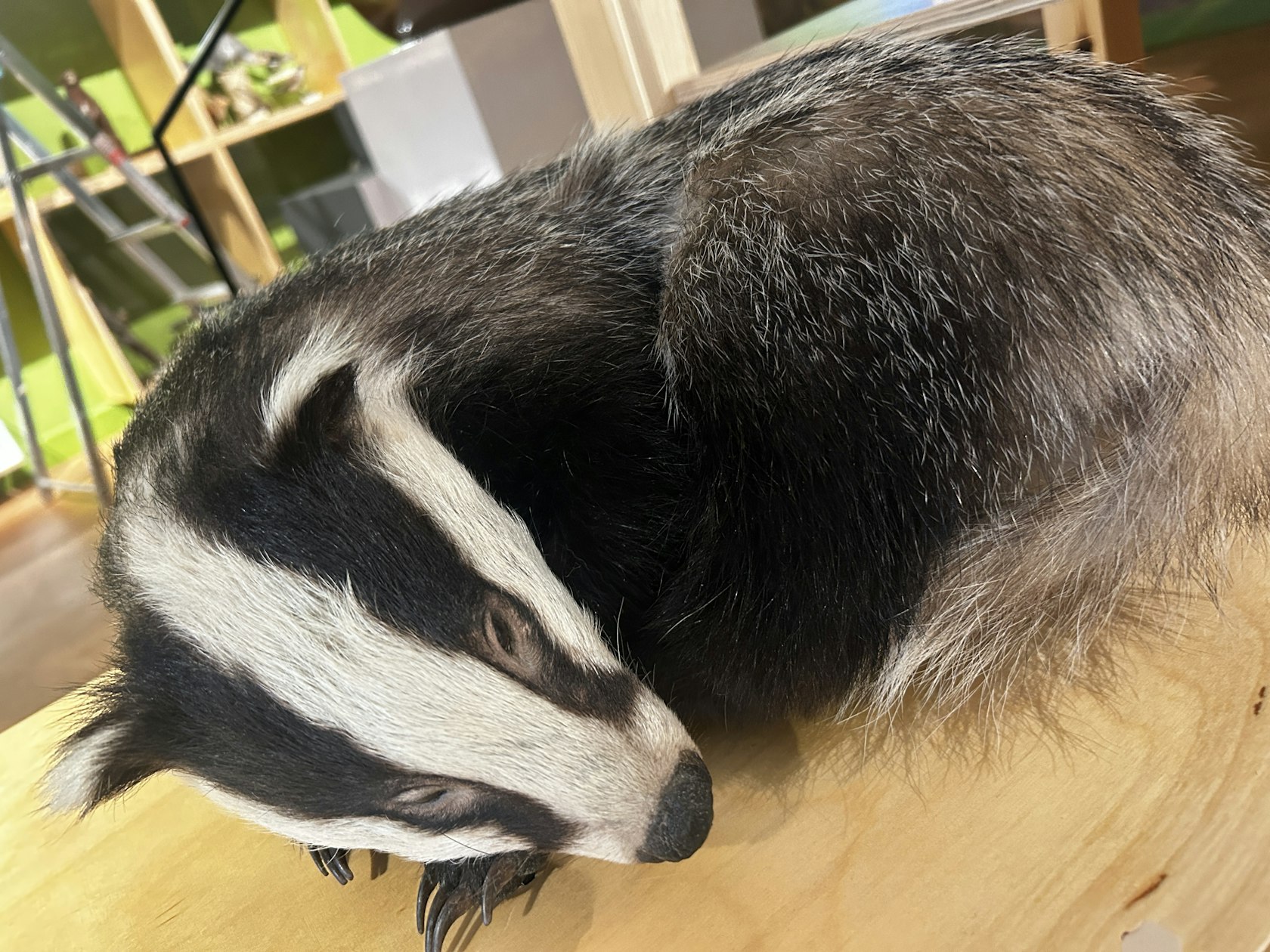 95998AA7-E81E-453C-9548-0340DD7B44E4