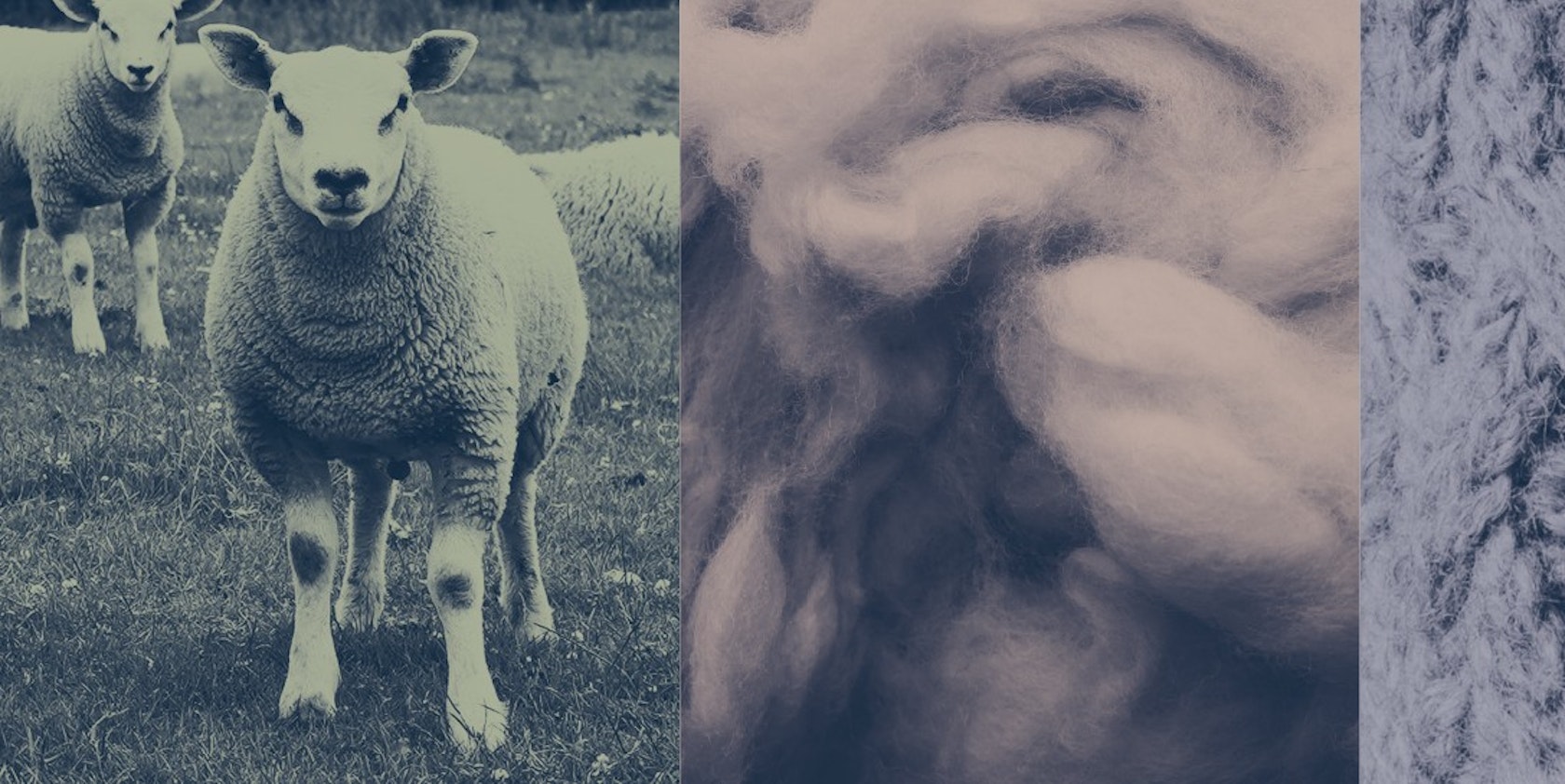 FtoF_logo&background