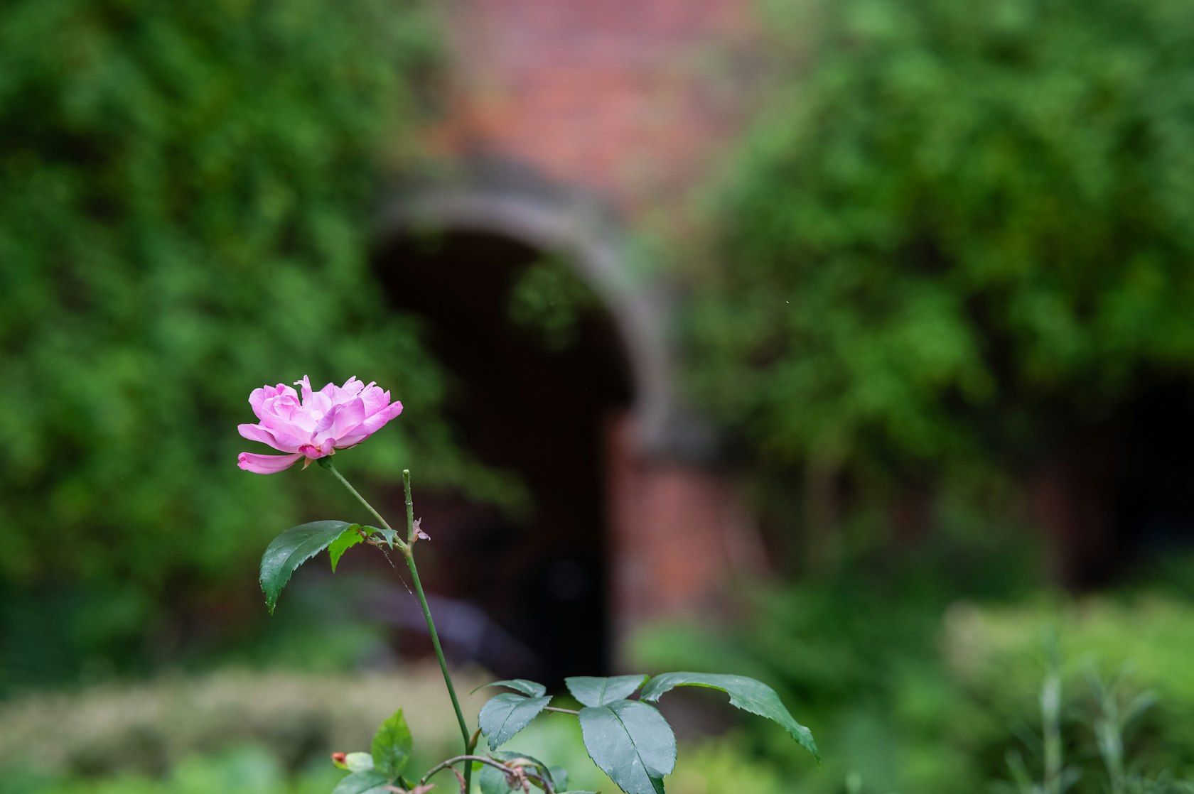 PickfordsHouse-DerbyMuseums-byPictoria-June2025-14